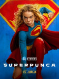 SUPERPUNCA